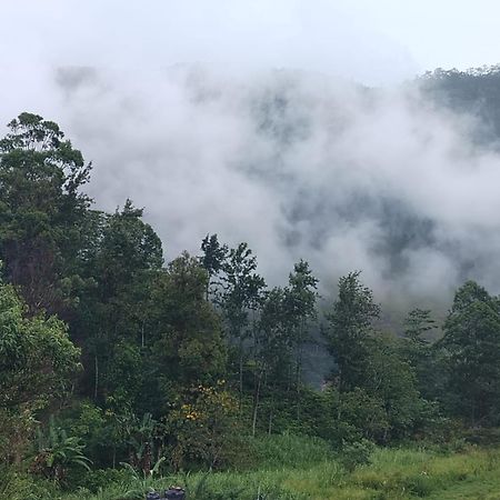 Green View Heaven Bandarawela Dış mekan fotoğraf