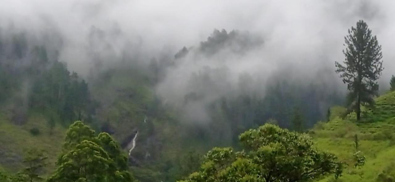 Green View Heaven Bandarawela Dış mekan fotoğraf