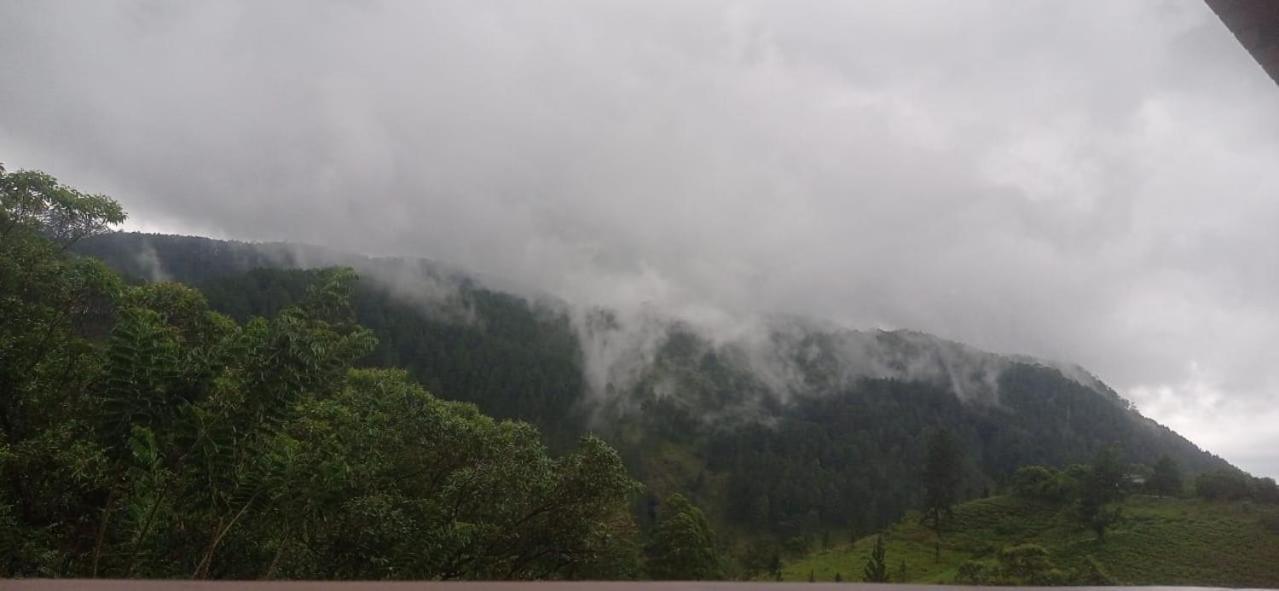 Green View Heaven Bandarawela Dış mekan fotoğraf