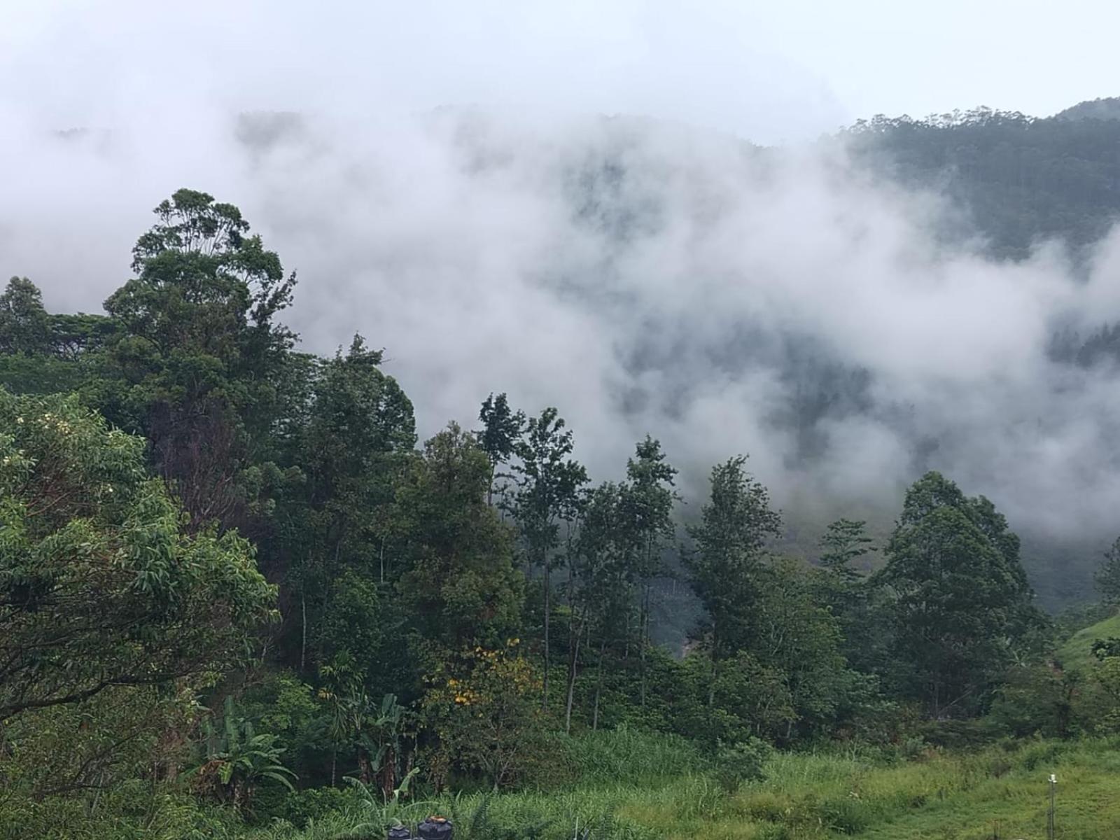 Green View Heaven Bandarawela Dış mekan fotoğraf